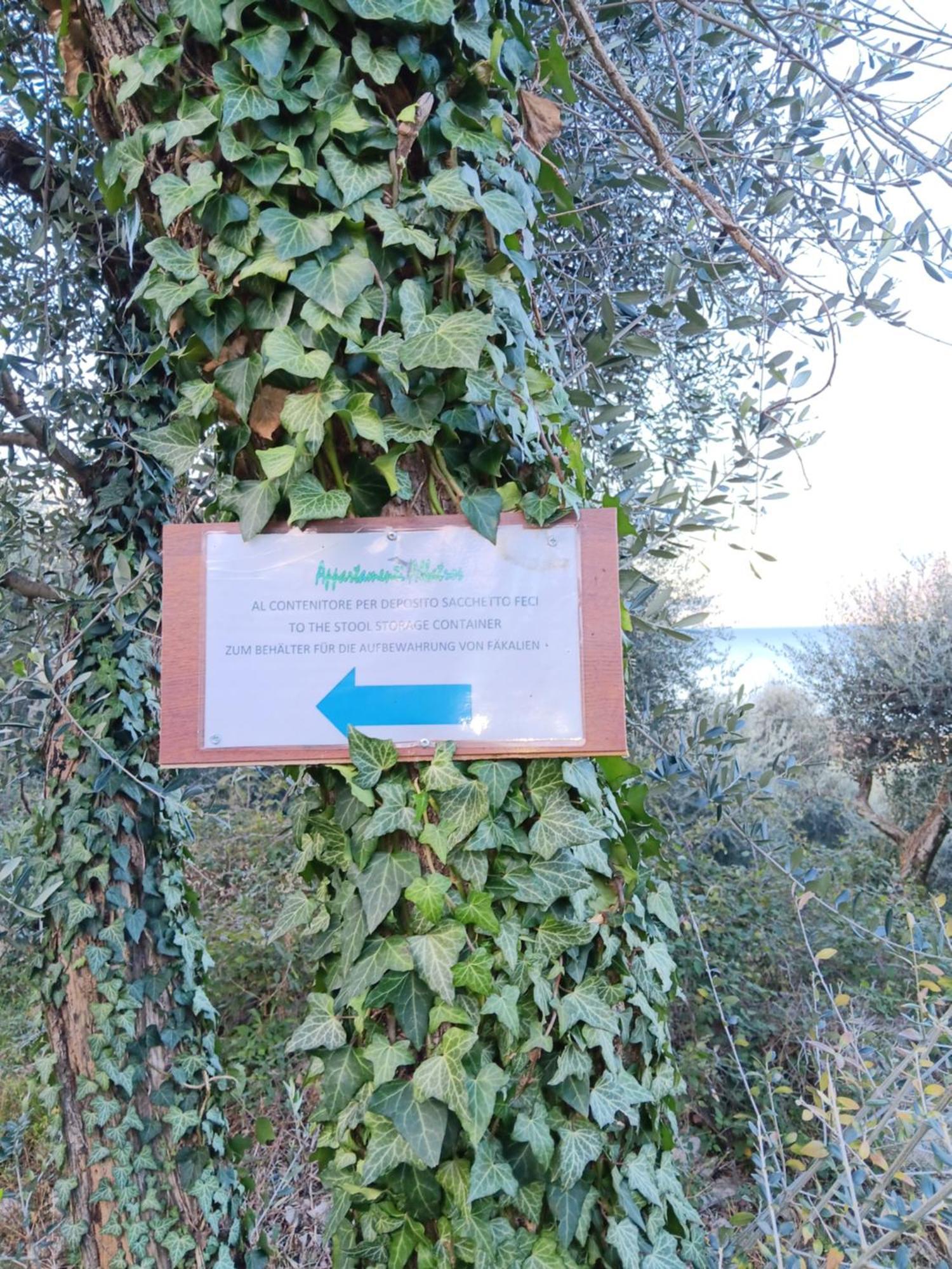 Appartamenti Albatros 布雷佐内加尔达 外观 照片